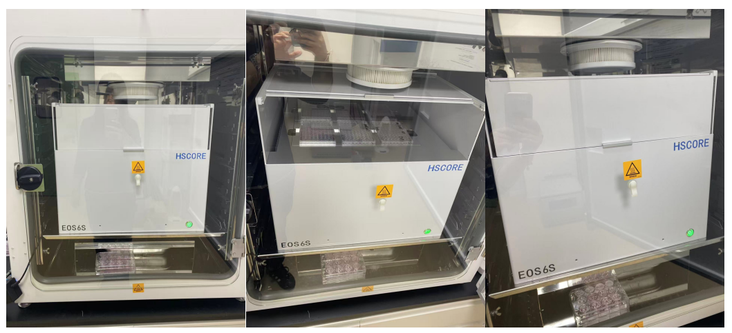 df922d615d9a12ae308aed95e6d061b.png df922d615d9a12ae308aed95e6d061b.png